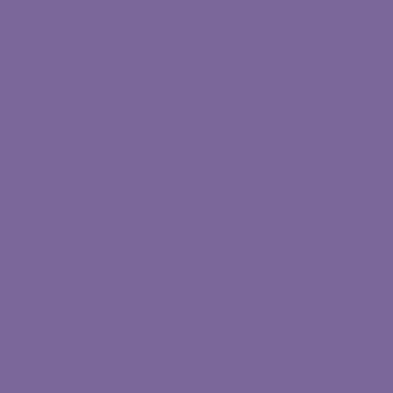 Violet (RAL 4005)*